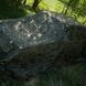 Маскировочная сетка 5х8м для внедорожника и военной техники зеленый лист темный мультикам Тмульт5х8 фото 3